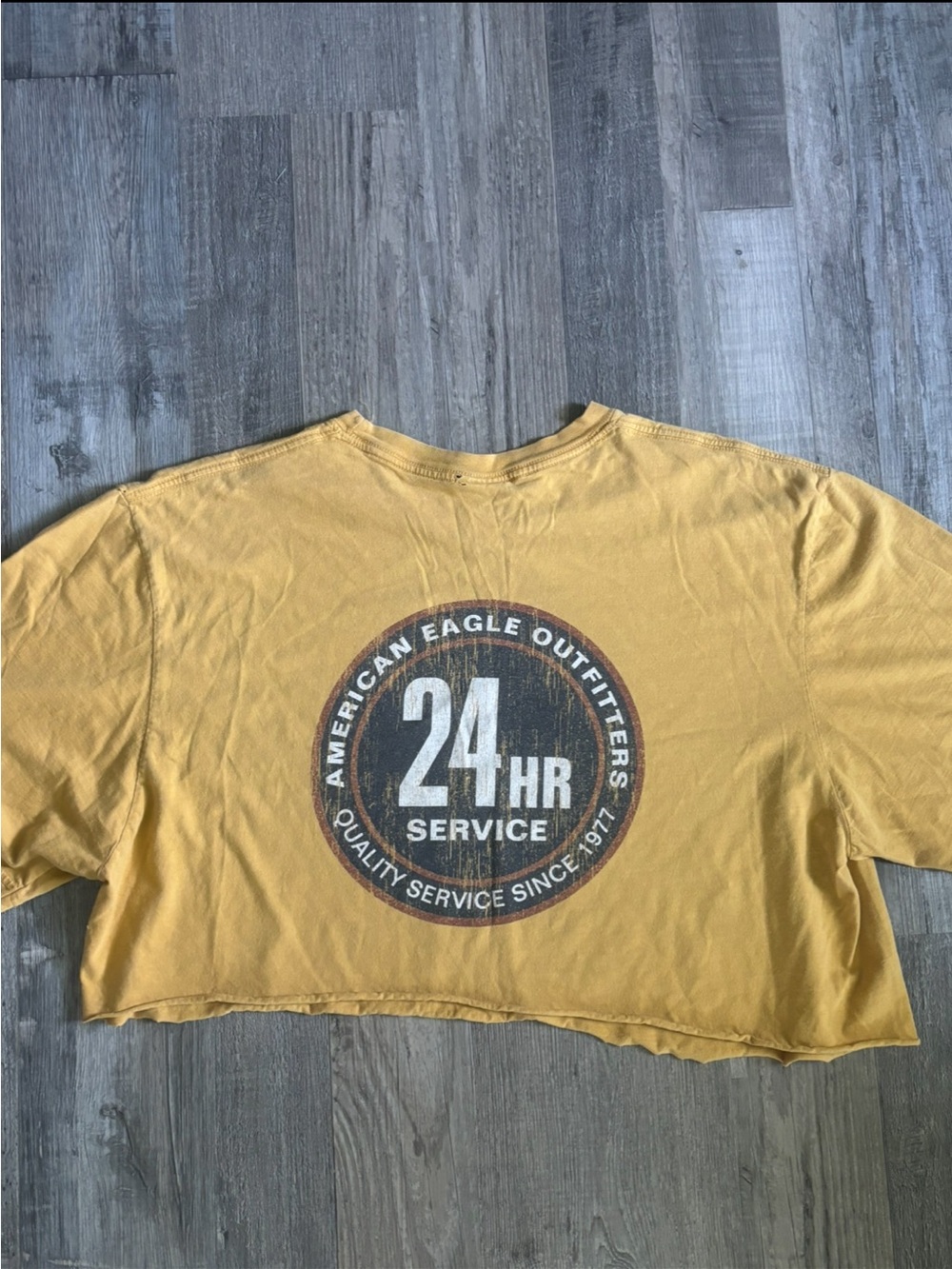 American Eagle Outfitters Cropped Tee